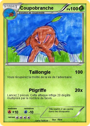 Pokemon Coupobranche