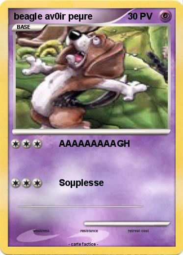 Pokemon beagle av0ir peµre