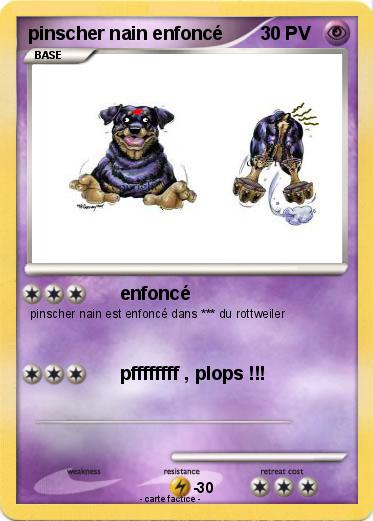 Pokemon pinscher nain enfoncé