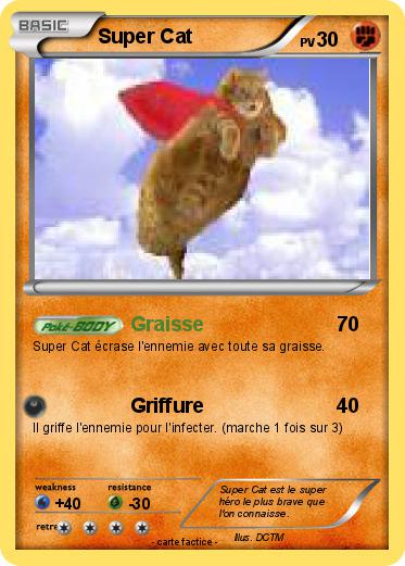 Pokemon Super Cat