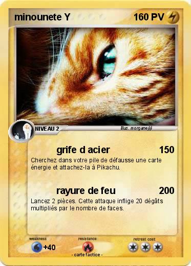 Pokemon minounete Y