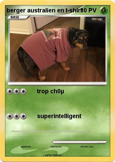 Pokemon berger australien en t-shirt