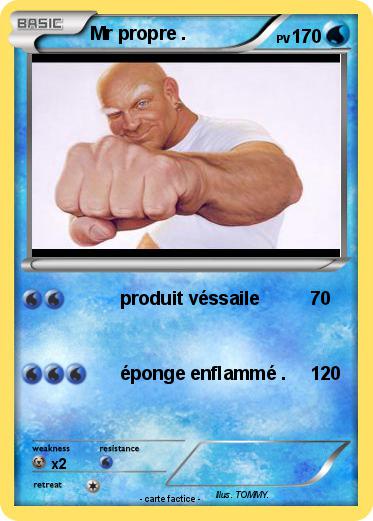 Pokemon Mr propre .