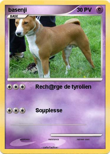 Pokemon basenji