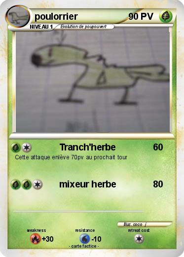 Pokemon poulorrier