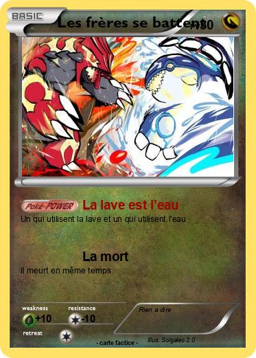Pokemon Les frères se battent