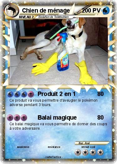 Pokemon Chien de ménage