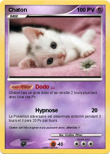 Pokemon Chaton