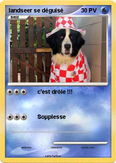 Pokemon landseer se déguisé