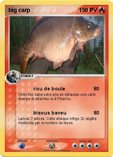 Pokemon big carp