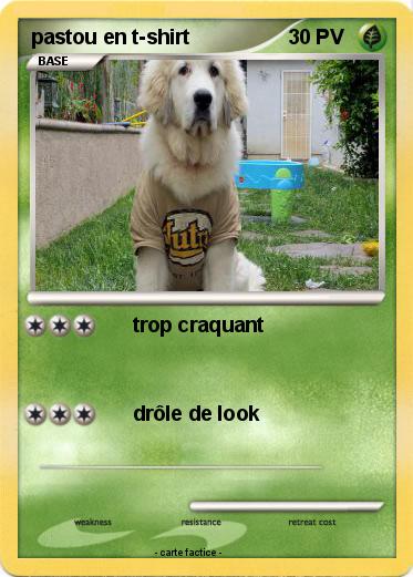 Pokemon pastou en t-shirt