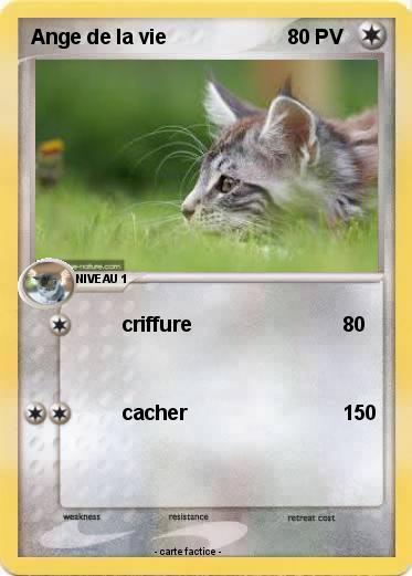 Pokemon Ange de la vie