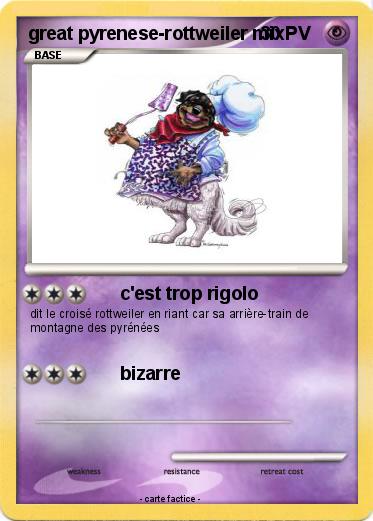 Pokemon great pyrenese-rottweiler mix