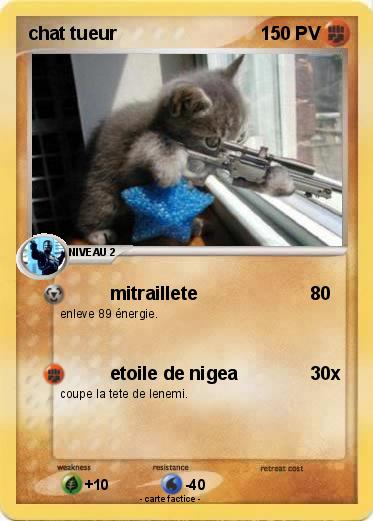 Pokemon chat tueur
