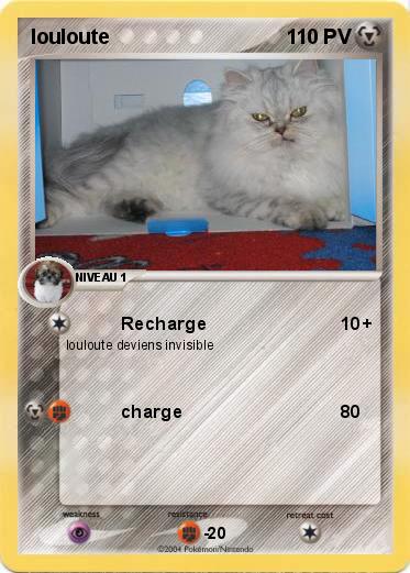 Pokemon louloute
