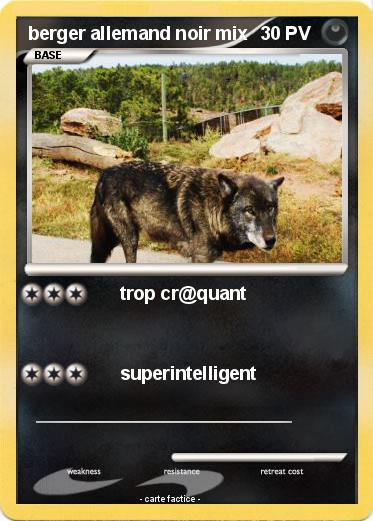 Pokemon berger allemand noir mix