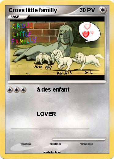 Pokemon Cross little familly