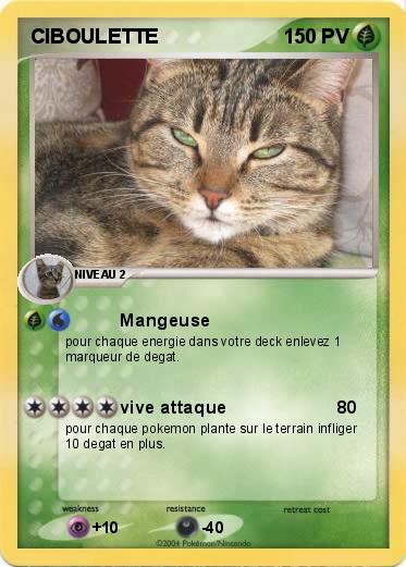Pokemon CIBOULETTE