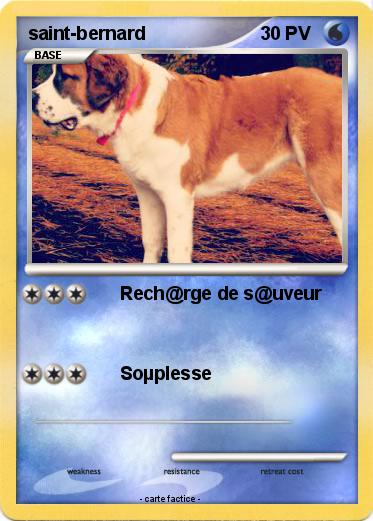 Pokemon saint-bernard