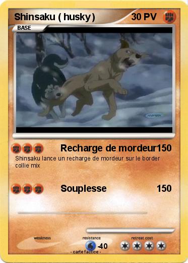 Pokemon Shinsaku ( husky )