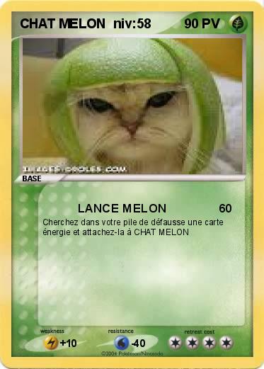 Pokemon CHAT MELON  niv:58