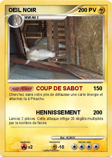 Pokemon OEIL NOIR