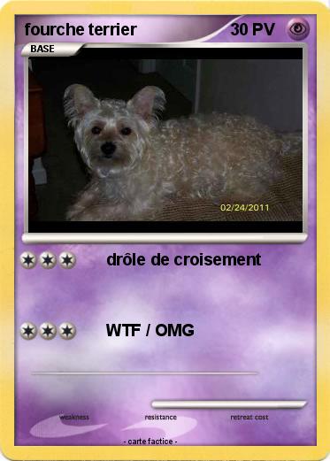 Pokemon fourche terrier