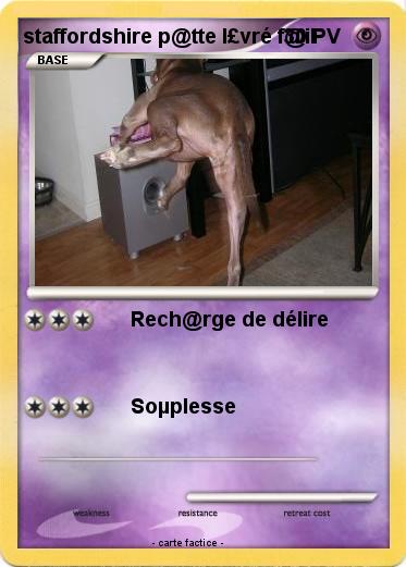 Pokemon staffordshire p@tte l£vré f@il