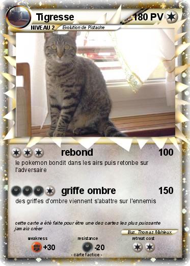 Pokemon Tigresse