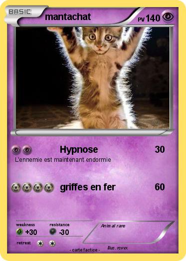 Pokemon mantachat