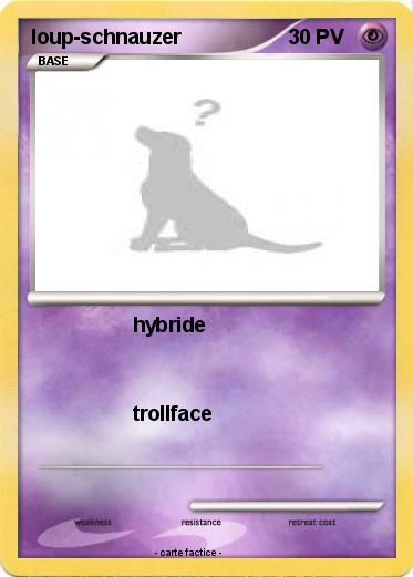 Pokemon loup-schnauzer