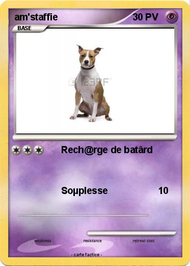 Pokemon am'staffie