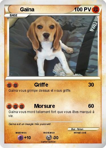 Pokemon Gaïna