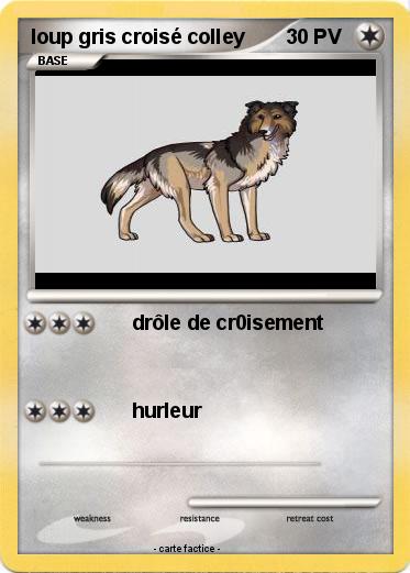 Pokemon loup gris croisé colley