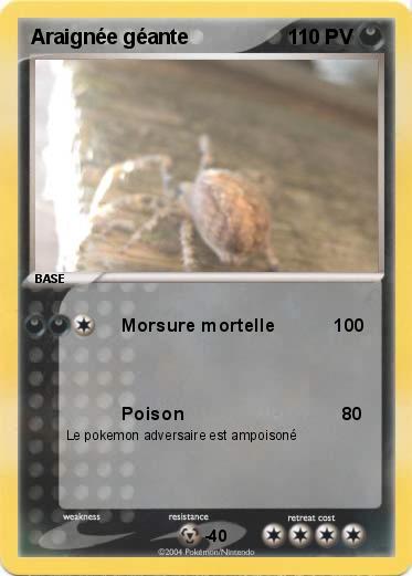 Pokemon Araignée géante