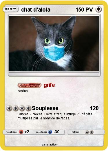 Pokemon chat d'alola