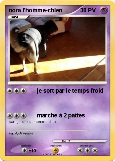 Pokemon nora l'homme-chien