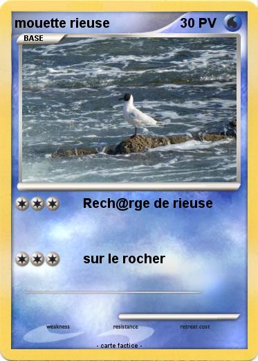 Pokemon mouette rieuse