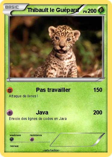 Pokemon Thibault le Guépard
