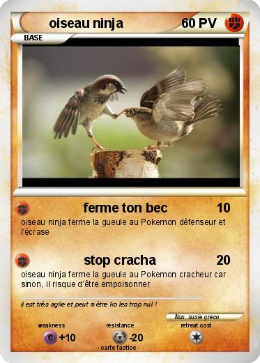 Pokemon oiseau ninja