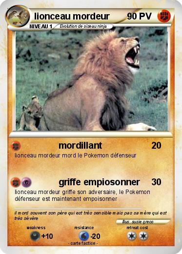 Pokemon lionceau mordeur