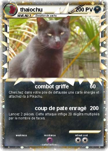 Pokemon thaiochu