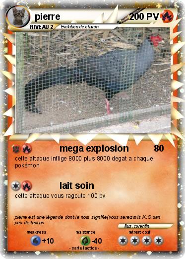 Pokemon pierre