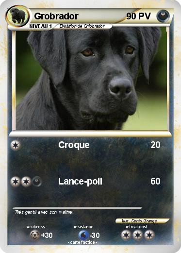 Pokemon Grobrador