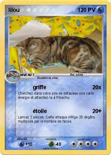 Pokemon lilou