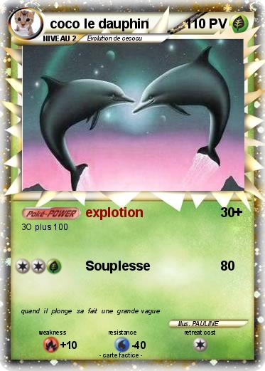 Pokemon coco le dauphin
