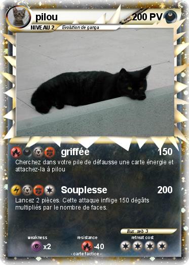 Pokemon pilou