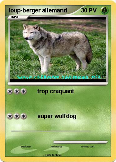 Pokemon loup-berger allemand
