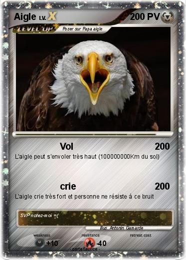 Pokemon Aigle