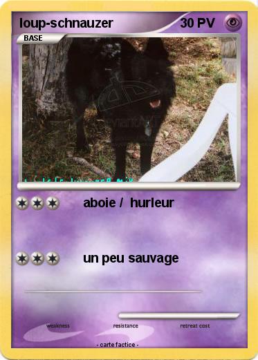 Pokemon loup-schnauzer